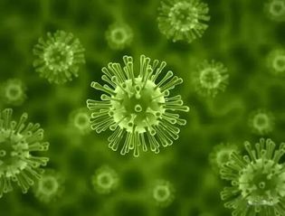 山东省农业微生物重点实验室