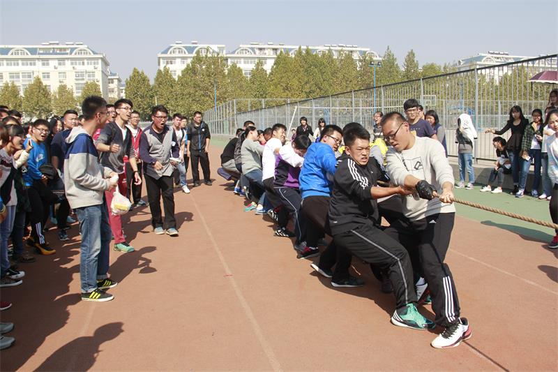 拔河比赛火热进行中